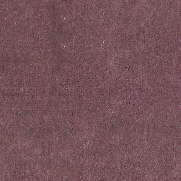  PHOENICIA TC01812 