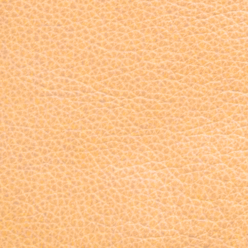  SAHARA 2002-3610 